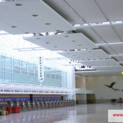 Plafonds acoustiques